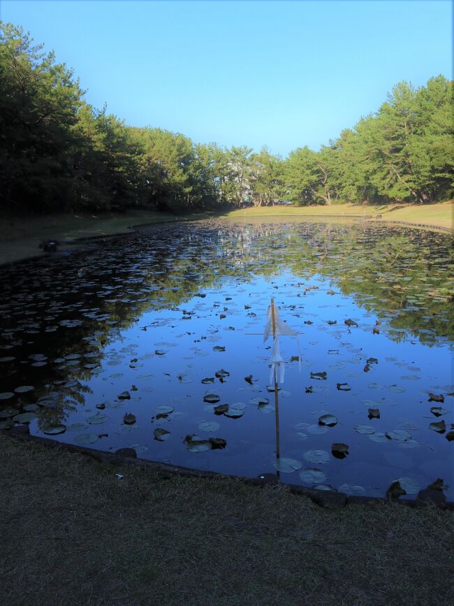 来年1月のグアムも当然ながらキャンセルとなり<br />最近よく行く沖縄以外の<br />どこかあったかい所でゴルフしたいなぁ・・と、<br />以前から行って見たかった宮崎を予約。<br /><br />こんな大変な時期に恐縮なのですが、<br />初宮崎はとっても楽しかったので<br />旅行記　作らせて頂きました。<br /><br />もっともっと神話の世界宮崎へ、<br />来年もまた行きたいです。<br /><br />☆写真は《みそぎ池》<br />説明は後ほど・・・