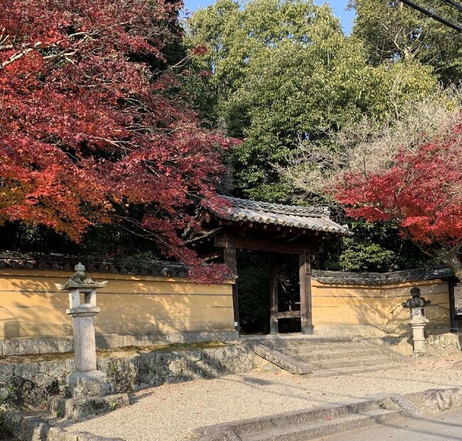 奈良交通の奈良市内一日乗車券で秋篠寺へ