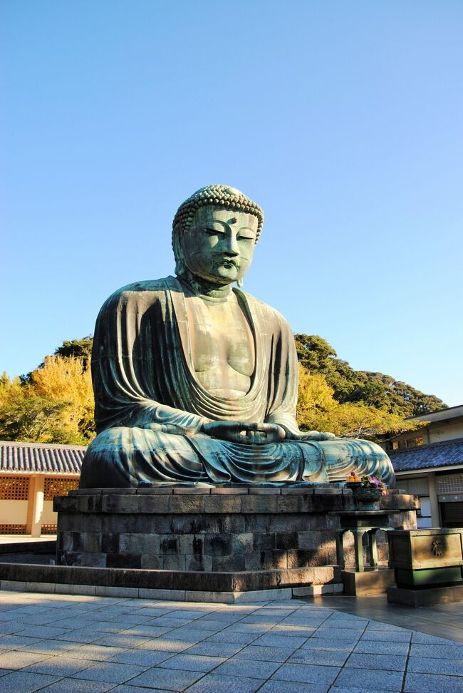 県内旅行で鎌倉から葉山へ。①早朝でまだ人がいない高徳院へ。