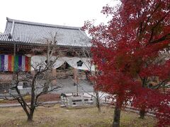 晩秋の京都⑥（３日目後半）☆智積院☆茶匠 清水一芳園 京都本店☆2020/11/25