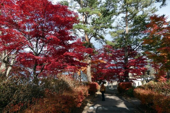 食事処 丸天さかな屋で満足の昼食を楽しんだ後は、世界遺産 忍野八海を観光するつもりでいました。<br /><br />しかし、大型観光バスからぞろぞろと学生の団体が下りて来て、長い行列を作っていたので諦めて、この日のメインの目的地、山中湖に向かいます。<br />