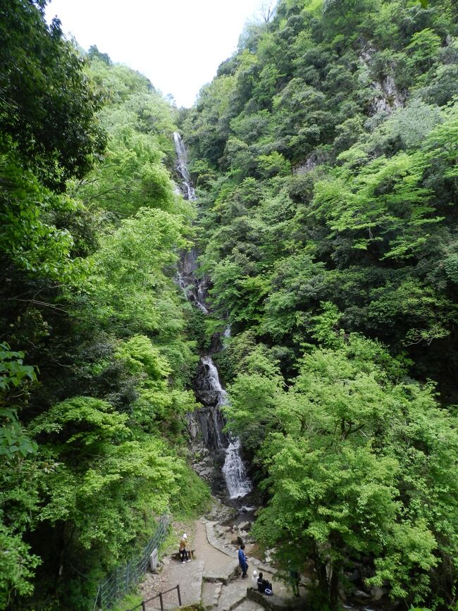 2018年のゴールデンウィークは広島県の『三段峡』に2泊3日の旅程で行くことにしました。<br />自家用車で行けない場所ではありませんが、道路も混む可能性があるし、ずっと運転し続けると疲れるし...<br />ということで、広島まで新幹線で行って、レンタカーで回るという作戦を立てました。<br /><br />出発前の時点で通算の滝訪問数が996ヶ所、今回の旅行で遂に1000滝訪問を達成することができました～！！<br /><br />《その９》<br />安芸太田町から中国自動車道で三次市に向かいました。<br />三次ではちょうどお昼頃だったので、「麦麦（mugi mugi）」というパン屋さんでパンを買って食べ、「風季舎昌平本家」という和菓子屋さんでお土産を買いました。<br />三次は&quot;卯建のにあう町&quot;というキャッチコピーで歴史的町並みを保存しているので、幾つかの近代建築物を回りました。※上述の「風季舎昌平本家」の建物も旧広島銀行の建物を利用したものです。<br />その後、三次市街地の北西の山中にある日本の滝百選『常清滝』を訪れました。