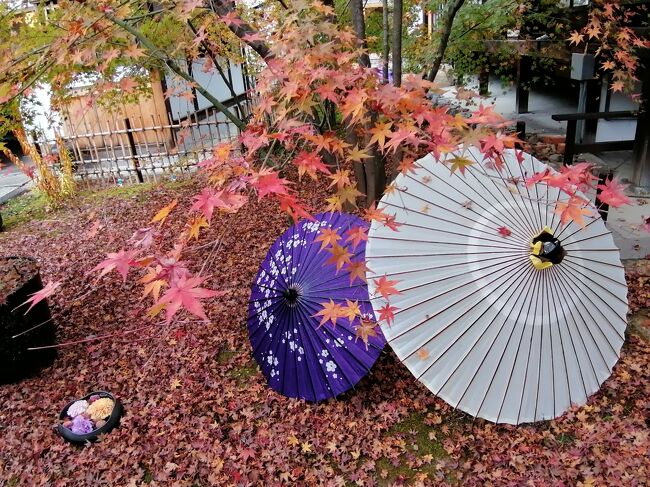 2020年京都の紅葉を見にいこう！と　コロナ拡大中ではありますが、感染に注意してでかけることにしました。<br />京都の紅葉+天橋立も行ってきました。<br /><br />まずは、11/26　到着から東福寺、伏見稲荷で幕開けです。