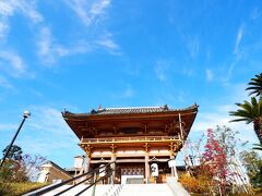 たくさん歩いて西国二十二番札所総持寺