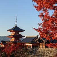 【京都】晩秋の京都～③八坂庚申堂、清水寺