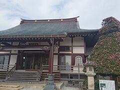 【Day out w/ N】さざんか寺って言うのもあるんだ。