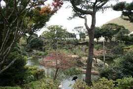 秋の伊豆旅♪　Vol.73　☆伊豆高原：「伊豆シャボテン動物公園 」寒風の中を歩く♪