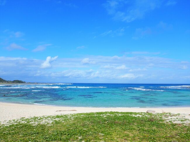 冬の奄美大島 ｼｭﾉｰｹﾘﾝｸﾞ「Peach 1000円 で楽しむ! ぼっち旅…」前編