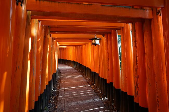 12月最初の週末に紅葉を見に、2泊3日で京都へ行ってきました。<br />訪れた場所は、伏見稲荷大社、圓光寺、建仁寺、八坂庚申堂、清水寺です。<br />新幹線と1泊目のホテルはJR東海ツアーズで手配した結果、料金は約33,000円でしたが、Go to トラベルキャンペーンのおかげで約21,000円に割引され、更に地域共通クーポンが5,000円分発行された為、実質一人辺り約8,000円とかなり割安でした。<br /><br />■旅程(この旅行記は★のついた日程について)<br />★1日目 神奈川⇒京都<br /> のぞみ0221号 新横浜駅 10:39 ⇒ 京都駅 12:32<br /> 2日目 京都<br /> 3日目 京都⇒神奈川<br /> ひかり662号 京都駅 18:33 ⇒ 小田原駅 20:38<br /><br />■宿泊先<br /> ・アーバンホテル京都四条プレミアム<br /> ・ホテル ザ セレスティン京都祇園<br />