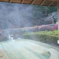 世界最古の温泉、慶雲館に泊まりたくて。