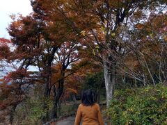 ０１．秋のＨＶＣ箱根翡翠1泊　三島～箱根のドライブ　箱根湖尻の散歩道　真盛りの箱根湖尻の紅葉　