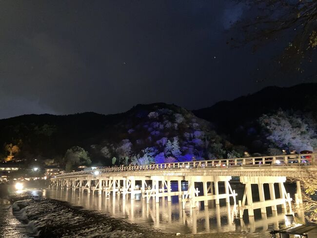 嵯峨・嵐山地域では平成17年(2005)12月からはじまった京都・花灯路。近くに住んでいますが、寒い時期なので今まで一度も行ったことがありませんでした。この時期にしては暖かかった週末、用事のついでに出かけてみました。<br /><br />京都・嵐山花灯路(2020年の開催期間:12月11日~20日)<br />https://hanatouro.kyoto.travel/arashiyama/index.html