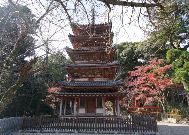 甥っ子のともちゃんと「おうちの中のだいぶつ」(東大寺)を見に行く旅。2日目はママ(妹)がずっと行きたがっていた浄瑠璃寺で、美人の吉祥天様にお会いしましたが、そこからの予定はまったく決まっていません・・・<br />浄瑠璃寺の駐車場に戻る手前(バス停)で見かけたのが、「京都 南山城国宝巡礼」のポスター。自称「仏像ガール」の妹とは、奈良や京都だけでなく湖北や若狭、近江、甲賀など美仏巡礼してきましたが、南山城は未踏の地、これは行くしかありません!!浄瑠璃寺から一番近い海住山寺まで6km程ということで向かいます。