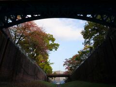 2020　大川の紅葉散歩（淀川河川公園辺り）