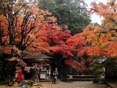 2020 永源寺・西明寺の紅葉