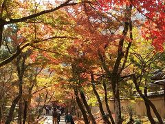 2020 京都　「宝厳院」「鹿王院」の紅葉と中華「凛香」
