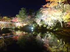 コロナ禍での京都の紅葉、今年最後のライトアップ