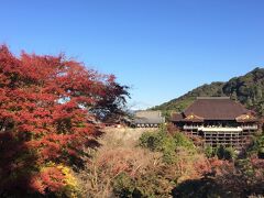 西国三十三所巡り：第二十番善峯寺：第十六番清水寺