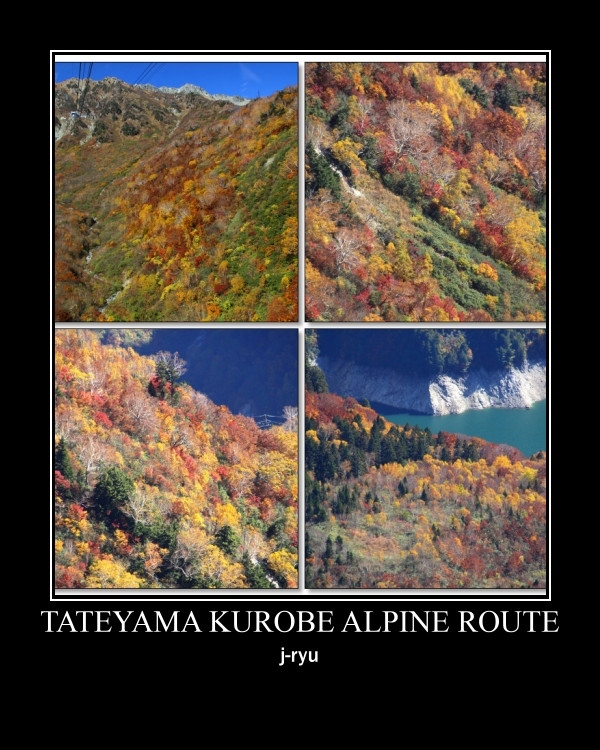 ◆Go To Travel～錦秋の立山黒部アルペンルート ～立山ロープウェイ&大観峰編