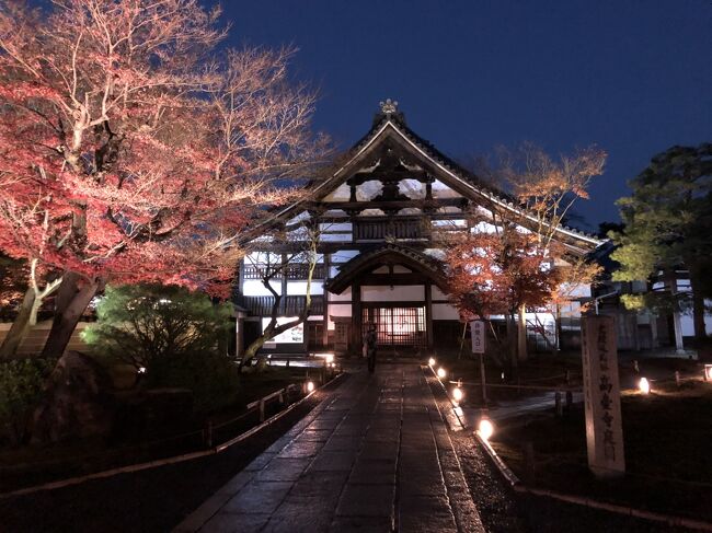 京都に住む友人とランチの約束をしたので　午前中はホテル近くの梅小路公園・西本願寺・東本願寺をめぐり、<br />夜は　高台寺の夜間拝観。