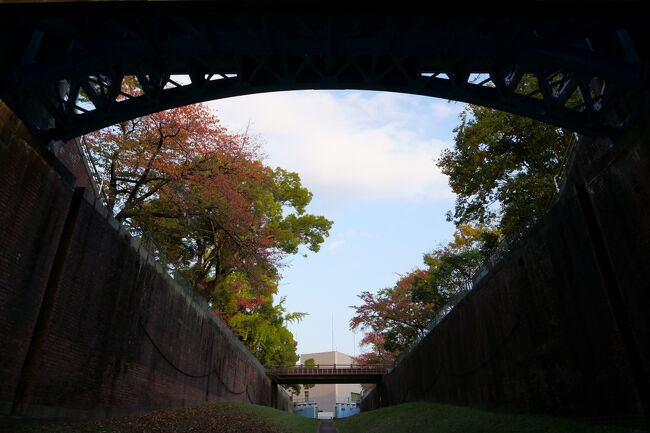 大阪市内を流れる大川（旧淀川）一帯の紅葉が見頃を迎えたので、この日は都島橋から、上流側の淀川と大川の分流部にある淀川河川公園辺りまでぶらり散歩してきました。<br /><br />この稿では、淀川河川公園辺りの旅行記を綴ります。