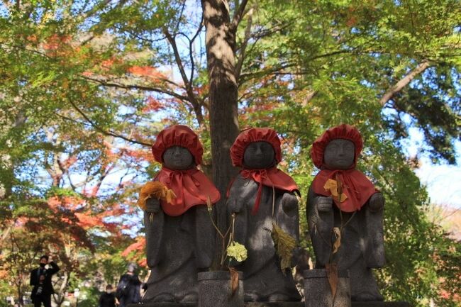 コロナ禍で旅行は控えていので、近場の九品仏浄真寺の紅葉を見に行きました。