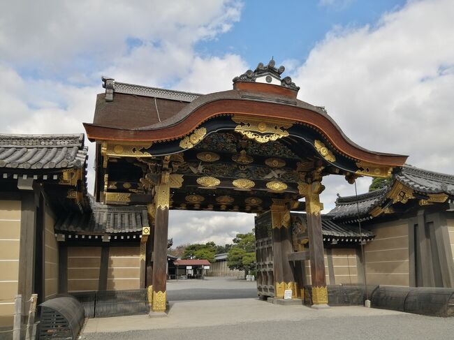 GoToトラベルを使用して、京都・奈良の紅葉を見に９泊10日で行ってきました。ついでに周辺にある日本100名城の高取城、千早城、二条城、篠山城、竹田城の5城をまわってきました。紅葉は出発日に降った雨や風でほぼ終わりになっていて紅葉のはずれ年な感じで残念でしたが、天気は良い日が多く楽しめました。<br /><br />★旅行記17のルート<br />京都祇園気楽ｉｎ（宿）→ヤオイソ（フルールサンド）→二条城（世界遺産・日本100名城）→京都御所<br /><br />１．京都駅周辺イルミネーション<br />２．奈良市内さんぽ（奈良公園～東大寺～奈良公園）<br />３．奈良グルメ（春日荷茶屋～天極堂の葛もち～おちゃのこのかき氷）<br />４．奈良 談山神社の紅葉＆ライトアップ<br />５．奈良 高取城①（土佐街道～宗泉寺～猿石～二ノ門跡～大手門跡まで）<br />６．奈良 高取城②（二ノ丸～本丸～五百羅漢～壷阪寺）<br />７．大阪 千早城＆金剛山麓まつまさのしいたけうどん<br />８．奈良 ほうせき箱のかき氷～よつばカフェ～麺闘庵<br />10．京都 京都駅大階段イルミネーション<br />11．京都 パンとエスプレッソと嵐山庭園～嵐山嵯峨野さんぽ～ステーキおおつか<br />12．京都 嵯峨野トロッコ列車のリッチ号に乗車<br />13．京都 永観堂紅葉ライトップ＆和楽庵宿泊<br />14．京都 京都 南禅寺～永観堂～金戒光明寺～真如堂<br />15．京都 祇園グルメ（喫茶ソワレ～にしんそば松葉～壹銭洋食）<br />16．京都 知恩院 秋のライトアップ<br />17．京都 フルーツパーラーヤオイソ＆二条城＆京都御所←★今ここ<br />18．京都 出町ふたばの名代豆餅＆下鴨神社＆加茂みたらし茶屋<br />19．兵庫 篠山城＆丹波篠山郷土料理懐のぼたん鍋<br />20．兵庫 姫路 カフェ･ド・ムッシュのアーモンドトースト<br />21．兵庫 雨の竹田城跡<br />22．兵庫 竹田さんぽ～姫路（まねきのえきそば）<br />23．京都 東寺～ミスター・ギョーザ<br />24．京都 宇治さんぽ①（中村藤吉本店～平等院鳳凰堂）<br />25．京都 宇治さんぽ②（宇治神社～興聖寺～宇治上神社）<br />26．京都 伏見稲荷大社①（楼門～本殿～千本鳥居～稲荷山山頂 一ノ峰まで）<br />27．京都 伏見稲荷大社② ライトアップの伏見稲荷大社～土井志ば漬本舗～東京へ