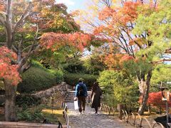 紅葉もいよいよフィナーレに♪　冬への序奏　白鳥公園＆愛知県緑化センター♪