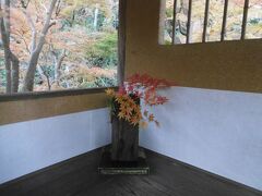 一条恵観山荘・報国寺などを廻りました