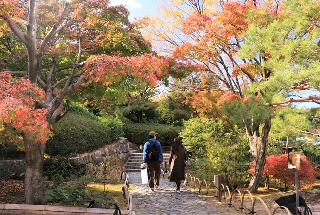 白鳥庭園は中部地区で最大級となる日本庭園です。<br />中部地方の地形から、築山を御嶽山に、そこからの流れを木曽川、その水が注ぎ込む池を伊勢湾に見立て、源流から大海までの「水の物語」がテーマとなった池泉回遊式庭園です。<br /><br />季節が変わると訪れてみたい白鳥公園。<br />ユリカモメもいっぱいいるだろうなと期待していきました。<br /><br />紅葉も大半は終わりかけ。<br />一つの季節が終わる哀感を感じながら、散策してきました。<br /><br />後日の愛知県緑化センターの記録も併せて載せてみました。