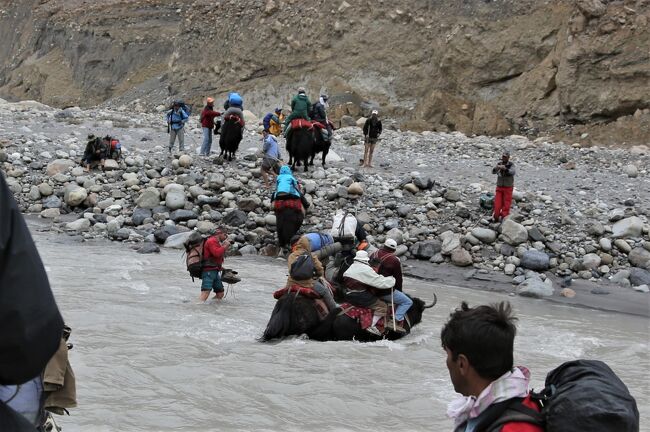 ヤク漬けのパキスタン　その８　ヤギ道の真実