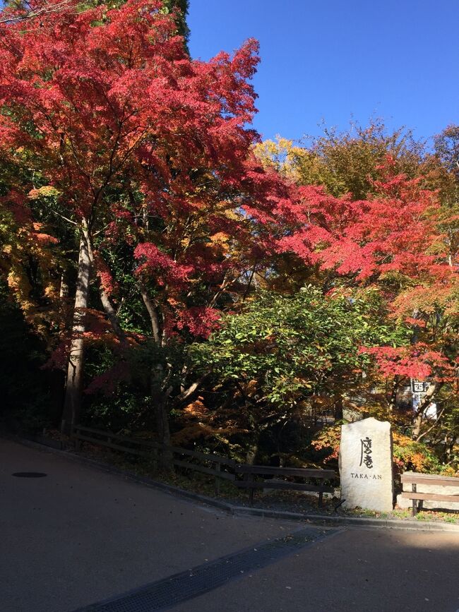 いつもより早めの日帰り京都歩き。<br />でもこの日は、今までの秋の京都を訪れたなかでの中で最高の紅葉でした。<br /><br />歩いたご褒美ご飯は、アマン京都の日本料理 鷹庵。<br />金沢の銭屋の方が総料理長だそう。<br /><br />銭屋、美味しかったもんね。<br />楽しみ!<br /><br /><br />朝ごはんを食べてから、車で京都へ。<br />金閣寺の駐車場に車を止めて、歩き始めます。<br /><br />辺りは、真っ赤な紅葉が日を受けてとてもキレイ。<br /><br />でも改修中の金閣寺はまた今度。<br />きぬかけの道を歩いて、龍安寺へ。