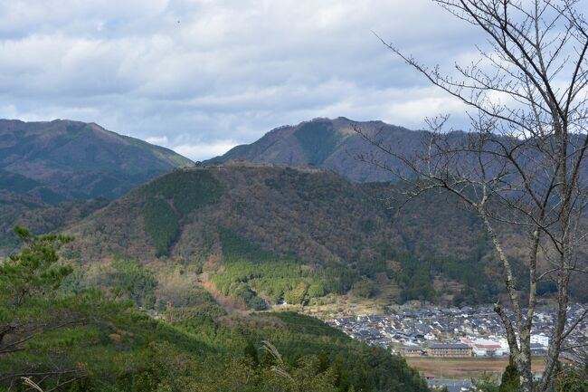 これは備忘録です・・・キット退屈です、眠ってしまいますヨ<br /><br />今回の温泉旅行は１９１０年生まれ、’９３年に８３歳で亡くなった母の生地・宮津と１０歳まで育った舞鶴訪問の序に2度目の湯村温泉、私にとって初めての城崎温泉を訪れた旅日記である<br /><br />オタクではないが、温泉に興味があり機会がある毎に入浴した温泉のその数は城崎温泉を加え１８５温泉（地、場）になった<br /><br />何処の温泉にツカッタかお知りになりたい酔狂な方はメルアドをお知らせください、ワードのリストをお送りいたします(笑)<br /><br />私のはmymito@nifty.comです<br /><br />アルバム編集中に但馬・丹後も大降雪の報<br />2週間遅らせば全行程、大変な目に遭っている<br />特に「湯村温泉」のある新湯村は一時、孤立地区もあったそうだ・・・・<br /><br /><br /><br />