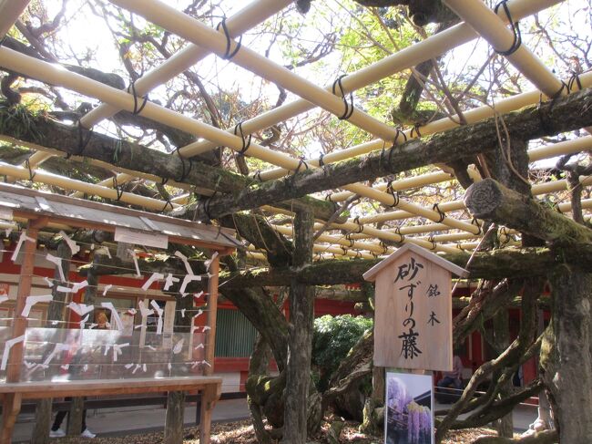 阪急交通社のツアーに参加。<br /><br />「3つの特別参拝・拝観 奈良・大和3日間」<br />というタイトル。<br /><br /><br />新幹線 往路:のぞみ215<br /> 帰路:のぞみ246<br /><br />バス 岐阜バス<br /><br />ホテル ダイワロイヤルホテル D-PREMIUM 奈良<br /><br /><br />料金 旅行料金 97,000円<br /> 保険 2,000円<br /> 割引 -28,000円<br /><br /> 合計 71,000円<br /><br /><br />興福寺の阿修羅像は上野の博物館で行列して拝見。<br />想像よりも小さくてビックリした記憶。<br />現在まで守り抜いた歴史の重さを感じる。<br /><br />春日大社は初めての参拝。<br />七五三で着飾るお子さん達が可愛くて。<br />「鬼滅の刃」で登場した本当の藤の世界がここに。<br />花の時期に来られたら良かった・・・<br /><br /><br />④2020年11月22日(日)<br /> 9:50~10:50 興福寺 拝観<br /> 11:15~12:35 春日大社 参拝