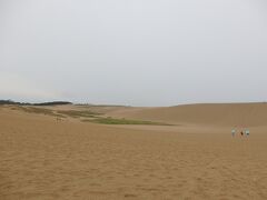 出雲大社・足立美術館・鳥取砂丘・姫路城　1日目-2