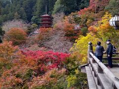 退職記念旅行第2弾：　奈良・和歌山を尋ねる（1日目）