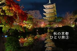 秋の京都・ひとり旅③【嵐山・瑠璃光院・東寺・平等院】#コナン