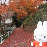 グーちゃん、忘年合宿で湯谷温泉へ行く！（湯の風ＨＡＺＵさんにて・・・。編）