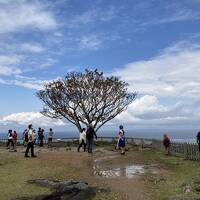 2020.12 GoTo沖縄本島定期観光バス