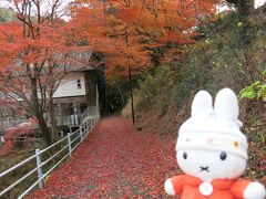 グーちゃん、忘年合宿で湯谷温泉へ行く！（湯の風ＨＡＺＵさんにて・・・。編）