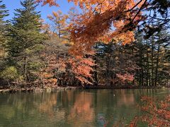 2020年 秋の長野で紅葉三昧【1】軽井沢に寄り道～ベーカリーレストラン沢村のランチと雲場池～