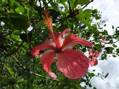 &#127807;どこかにマイル&#127802;沖縄&#127802;&#127807;弾丸日帰り旅行