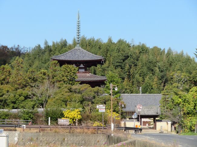 2020年12月5日（土）法隆寺を拝観させて頂いてから、法輪寺へ向かいました。東院伽藍の四脚門前の道から法輪寺へ向ったのですが、フォトを撮ったりするので徒歩30分強かかりました。<br />1944年に三重塔は落雷により焼失したようで、1975年に再建されたもののようです。金堂は1760年に再建されたようです。<br />堂内を拝観させていただこうと思ったのですが、フォト禁止だったので、建物だけ拝観させていただき法輪寺をあとにしました。<br />※公式ページに記載されていたのですが、法輪寺は斑鳩の北方・三井（みい）の地に位置することから「三井寺」とも呼ばれていたようです。<br />