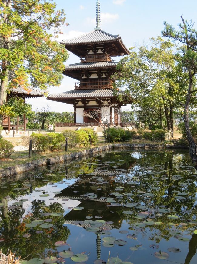 2020年12月5日(土)自分の誕生日に奈良旅行が出来る事に感謝しつつ、こちらの旅行記は法隆寺→法輪寺→法起寺へ移動し、法起寺の素敵な風景を楽しんだ内容をアップさせて頂いております。<br /><br />法起寺の塔は、706年に完成し、現存する最古で最大の三重塔のようです。<br />聖徳太子別宮の跡と伝えられているらしく、池後寺、岡本寺などともいわれているようで由緒あるお寺のようです。<br />個人的な意見ですが、法起寺は敷地面積はと小さいですが、庭園から見える風景がとても素敵で一番好きです。<br />