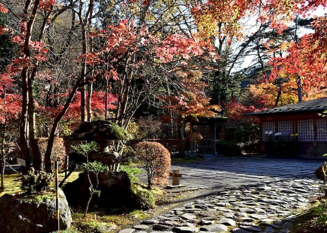 「紅葉探し2020大子編　あえて袋田の滝を外し 紅葉絶景とレトロ見物」<br />https://4travel.jp/travelogue/11667226<br />の続きになります。<br /><br />大子を離れ 車で向かった 紅葉探しの場所は「矢祭山」<br />もうひとつの奥久慈紅葉名所です。<br />矢祭山公園から久慈川あたりの紅葉を見終えた頃 <br />たまたま話しかけて来られた男性に 別の紅葉ポイントを教わり そちらへも行ってみる事になりました。<br />