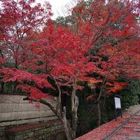 歴史息づく京の都を逍遥する旅