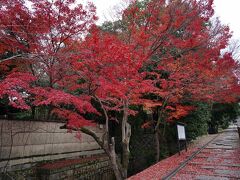 歴史息づく京の都を逍遥する旅