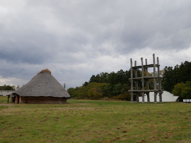 2020秋の青森旅行その5　三内丸山遺跡で縄文時代に思いを馳せて夕食は絶品寿司とジェラートを