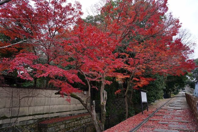 冬の足音が近付いて来た12月中旬、京の都を歩いてみることにした。<br />今回は、今出川から西陣、北野と歩き、三条界隈に宿泊。<br />翌日、南禅寺界隈から六波羅へと散策する旅程とした。<br />紅葉の季節が過ぎたとは言え、さすがに京の都は人が多かったが、大通りや有名な寺社仏閣を避けて歩いたので、ゆっくりと町家や史跡などを巡ることが出来た。
