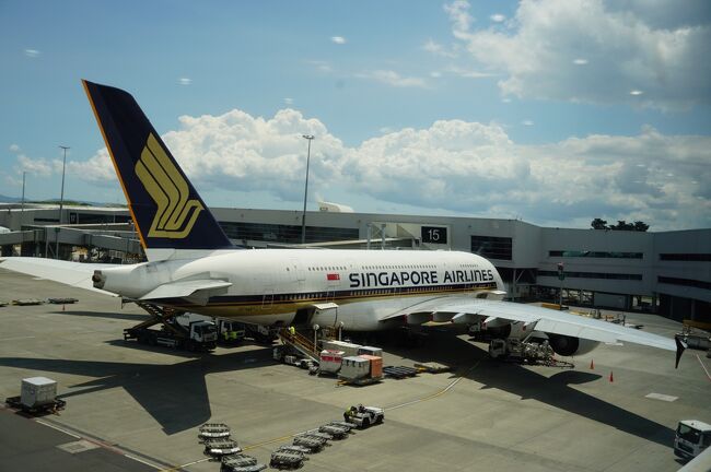 スターアライアンスのビジネスクラス世界一周航空券を軸に、1回を一ヶ月をめどにした5回の旅で搭乗した飛行機についてまとめてみました。<br /> 旅では、自分なりに飛行機や空港の写真を撮っていますが、搭乗時間が夜間の場合や空港のセキュリーなどによって撮影できなかったところもあります。<br /> また、すでに旅行記に投稿した写真が多いこと、少しコメントが長いのでpart 1とpart 2に分けたこと、ご理解ください。飛行機好きのオッサンが一人で、世界一周の旅で、どれくらい飛行機に乗ってきたかをご紹介したいと思います。<br />